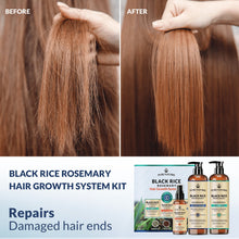 Load image into Gallery viewer, Rosemary Black Rice Water Hair Growth System Kit - Shampoo, Conditioner and Leave-in Serum