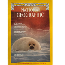 Load image into Gallery viewer, Bundle of 8 National Geographic Magazines 1972-73-74-76 in Very Good Condition