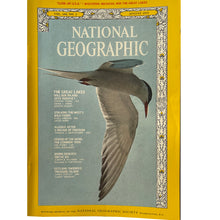 Load image into Gallery viewer, Bundle of 8 National Geographic Magazines 1972-73-74-76 in Very Good Condition