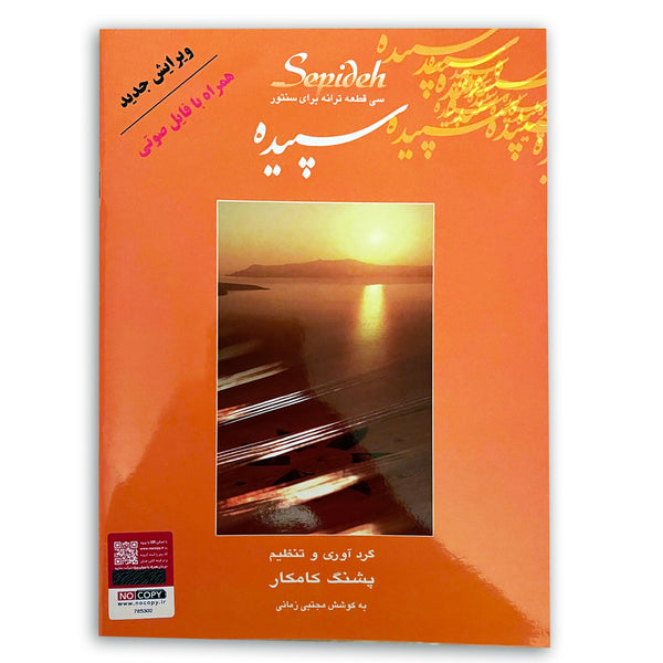A Bundle of 4 Santour Books, Total 140 Famous Songs for Santoor (Pashang Kamkar)